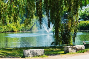 Toronto şehir manzarası, Kanada 