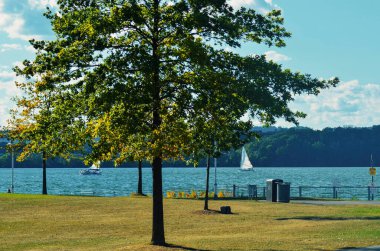 Toronto, Kanada - 5 Temmuz 2020: Toronto Adası 'nın güzel manzarası.