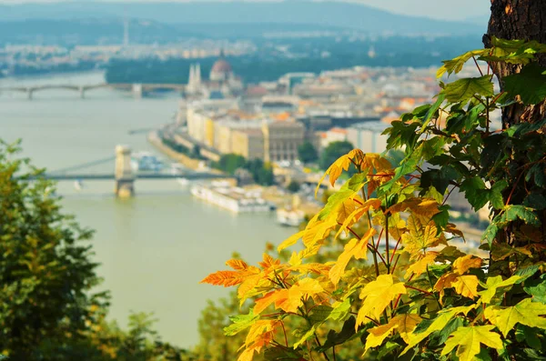 Stadsmiljö Budapest Ungern — Stockfoto