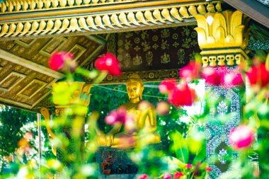 Laos 'taki Budist tapınağı mimarisi