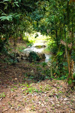 Vang Vieng şehrindeki Mavi Göl Parkı, Laos 