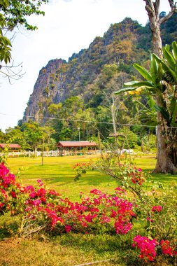 Vang Vieng şehrindeki Mavi Göl Parkı, Laos 