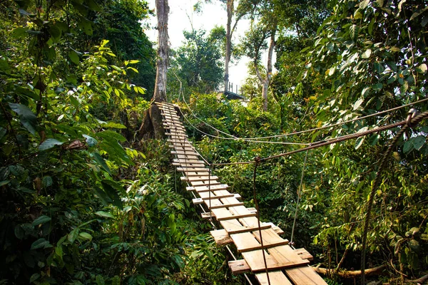 Vang Vieng şehrindeki Mavi Göl Parkı, Laos 