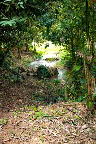 Kék Lagúna Park Vang Vieng Városban Laosz — Stock Fotó