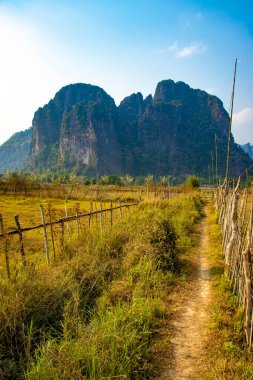 Laos 'ta ineklerle dağlık arazi manzarası 
