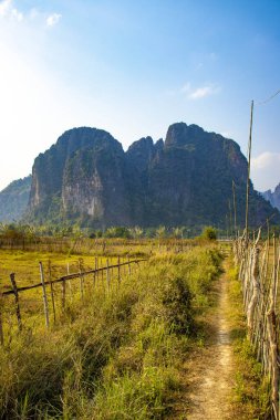 Laos 'ta ineklerle dağlık arazi manzarası 
