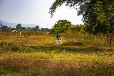 Laos 'ta ineklerle dağlık arazi manzarası 