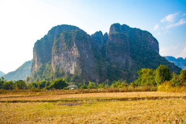 Laos 'ta ineklerle dağlık arazi manzarası 