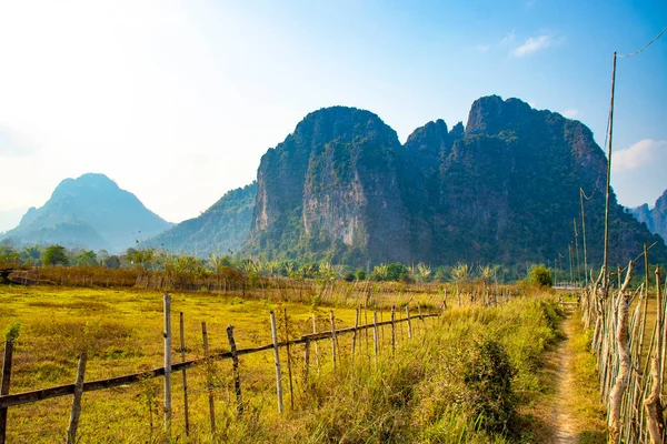Naturskön Utsikt Över Höglandet Med Kor Laos — Stockfoto