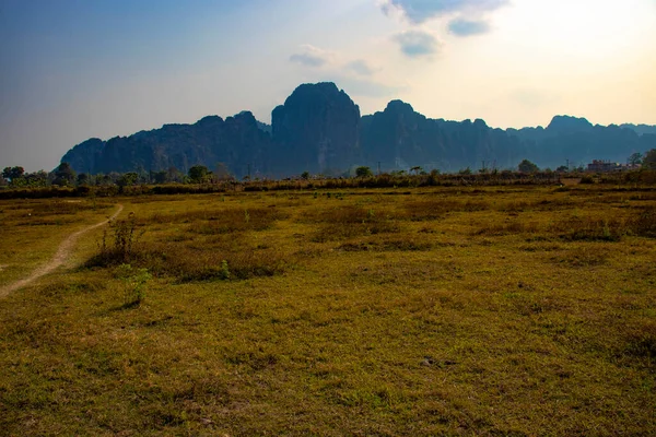 Scenic View Highland Cows Laos — Stock Photo, Image