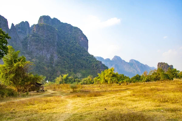 Landschappelijk Uitzicht Hoogland Met Koeien Laos — Stockfoto