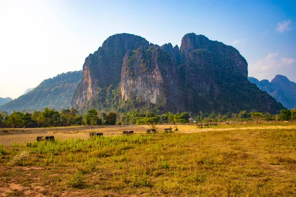 Scenic Kilátás Hegyvidéki Tehenek Laoszban — Stock Fotó