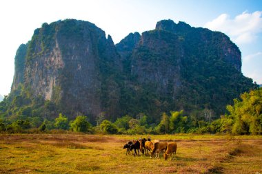 Nansong Nehri, Vang Vieng, Laos
