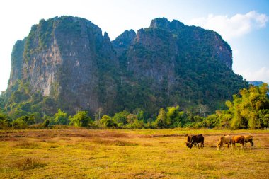 Nansong Nehri, Vang Vieng, Laos