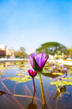 Vientiane kasabası gündüz vakti Laos 