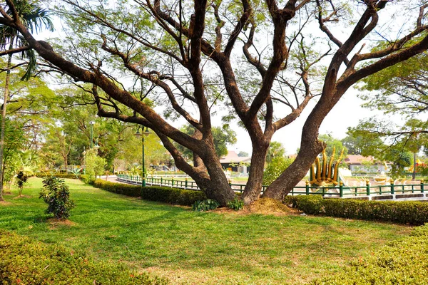 Buddha Park Giorno Vientiane Laos — Foto Stock