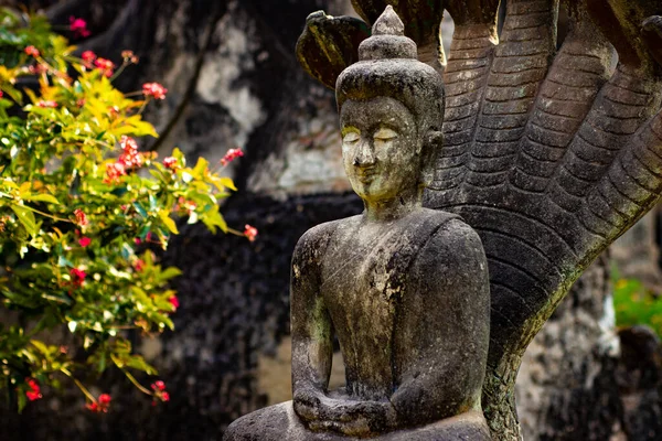 Estátuas Antigas Pedra Buddha Park Laos — Fotografia de Stock