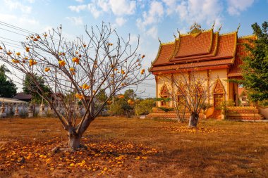Laos 'taki Asyalı güzel Budist mimarisi