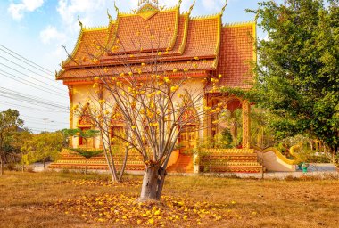 Laos 'taki Asyalı güzel Budist mimarisi