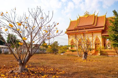 Laos 'taki Asyalı güzel Budist mimarisi