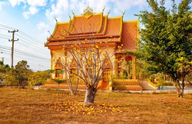 Laos 'taki Asyalı güzel Budist mimarisi