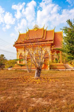 Laos 'taki Asyalı güzel Budist mimarisi