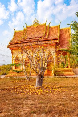 Laos 'taki Asyalı güzel Budist mimarisi