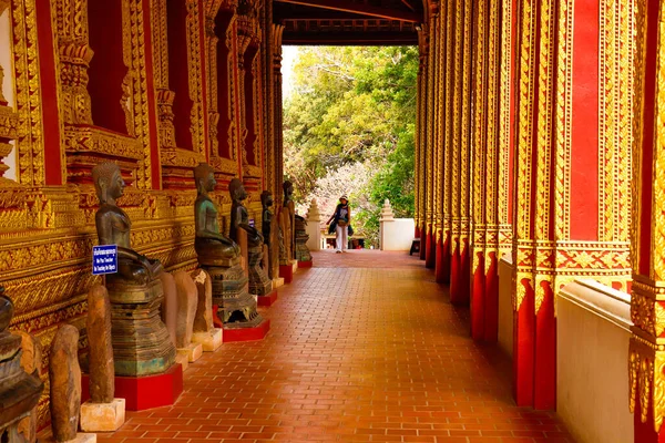 Vieille Architecture Asiatique Statues Dans Temple Bouddhiste Laos — Photo