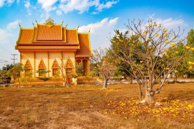 Laos 'taki Asyalı güzel Budist mimarisi