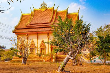 Laos 'taki Asyalı güzel Budist mimarisi