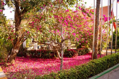 Vientiane kasabası gündüz vakti Laos 