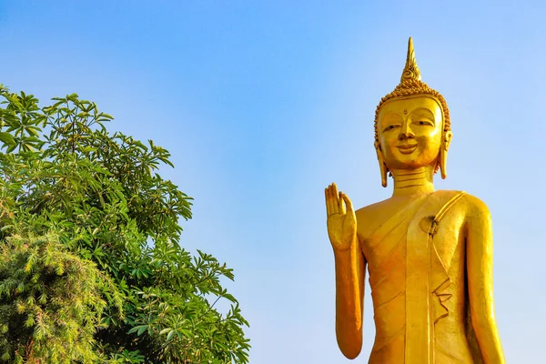 Alte Asiatische Architektur Und Statuen Buddhistischen Tempel Laos — Stockfoto