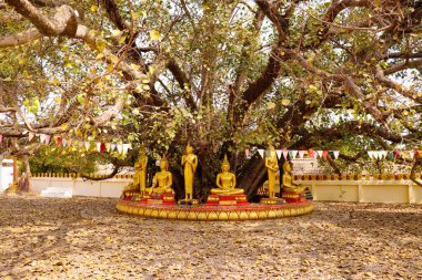 Luang Budist Tapınağı mimarisi ve dekorasyonu, Laos