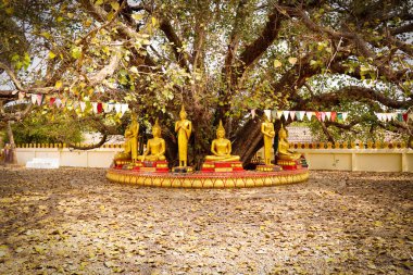 Luang Budist Tapınağı mimarisi ve dekorasyonu, Laos