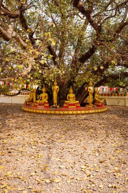 Luang Budist Tapınağı mimarisi ve dekorasyonu, Laos