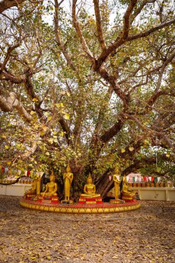 Luang Budist Tapınağı mimarisi ve dekorasyonu, Laos