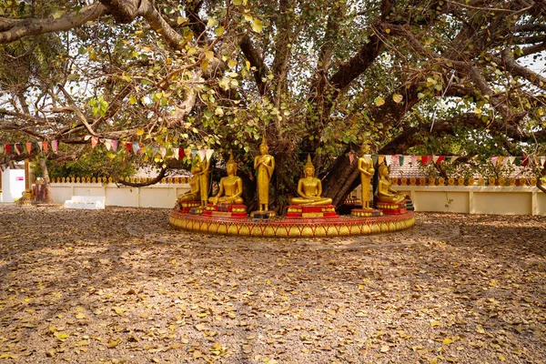 Arquitetura Decoração Templo Budista Luang Laos — Fotografia de Stock