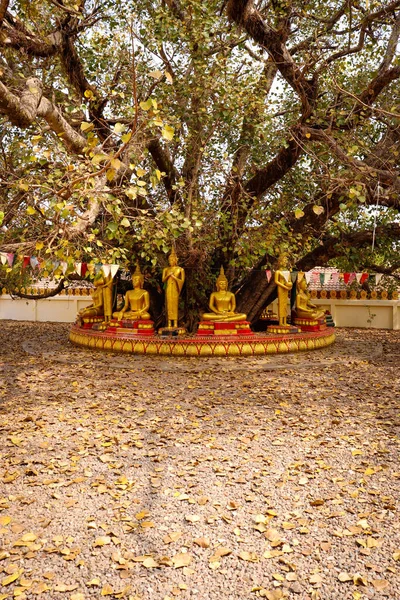 Luang Budist Tapınağı mimarisi ve dekorasyonu, Laos