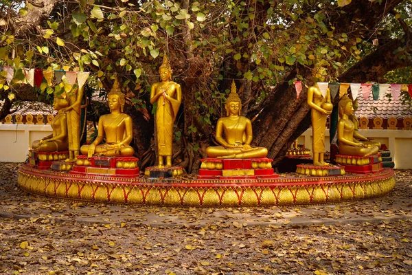 Architecture Décoration Temple Bouddhiste Luang Laos — Photo