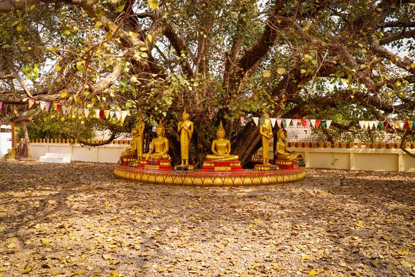 Luang Budist Tapınağı mimarisi ve dekorasyonu, Laos