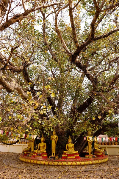 Luang Budist Tapınağı mimarisi ve dekorasyonu, Laos