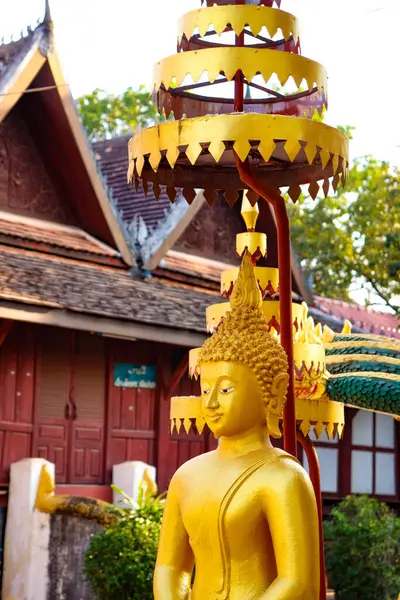Vientiane Deki Altın Buda Wat Saket Tapınağı Laos — Stok fotoğraf