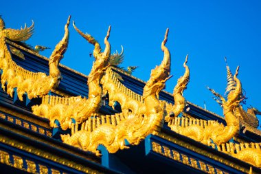 Tayland. Chiang Rai. Mavi Tapınak