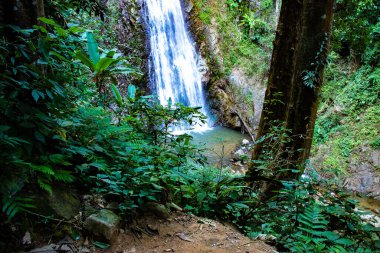 Tayland 'da nehir ve şelale 