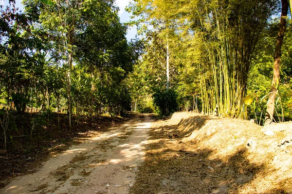 Chiang Rai Cidade Território Arquitetura Tailândia — Fotografia de Stock