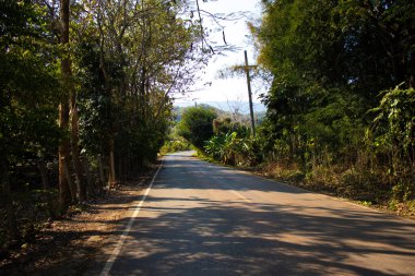 Tayland 'daki Chiang Rai şehri.