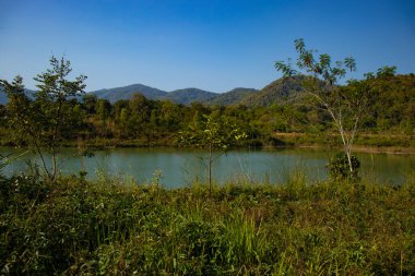 Tayland 'da nehir ve şelale 