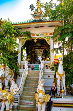 Budist tapınağı Chiang Rai, Tayland