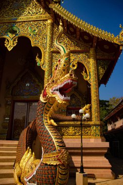 Tayland. Chiang Rai. Diğer Tapınaklar