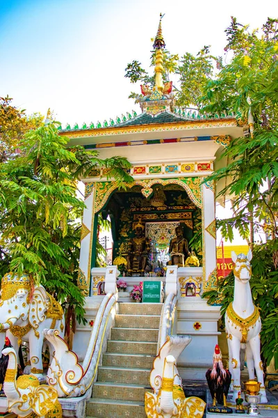 Budist tapınağı Chiang Rai, Tayland